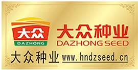 大众种业网站