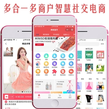 社交电商系统